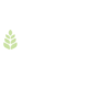 einkorn