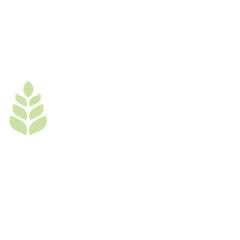 einkorn